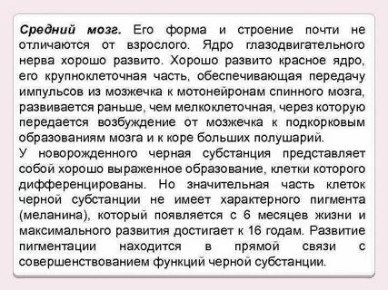 Особенности среднего мозга