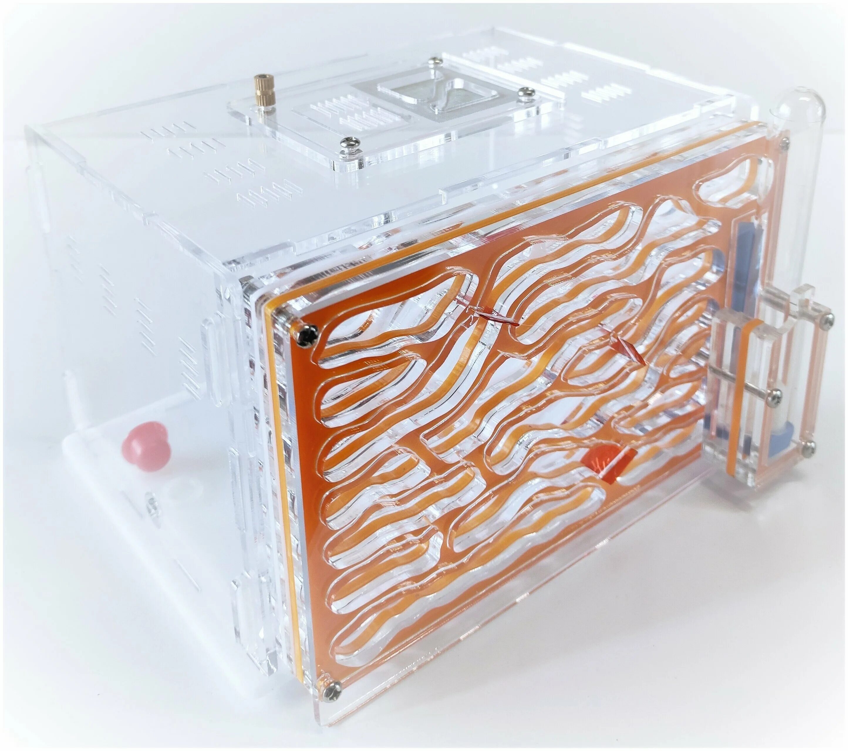 Муравьиная ферма сколько стоит в пределах 1600. Энплэнэт. Муравьи купить для фермы матка. Муравьиная ферма vip вода. Муравьиная ферма видео.