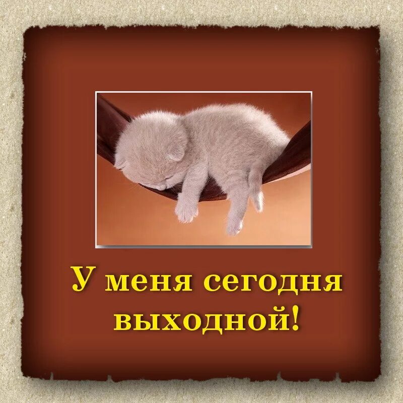 сегодня выходной какой работать. сегодня выходной какой работать. утро спать. когда в субботу на работу картинки. открытки отдых после трудового дня.