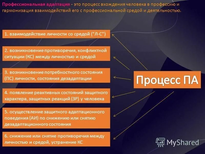 Структура профессиональной ориентации. Адаптация молодого педагога в образовательном учреждении. Этапы профессионального становления личности. Периоды профессионального становления. Процесс вхождения человека в профессию.