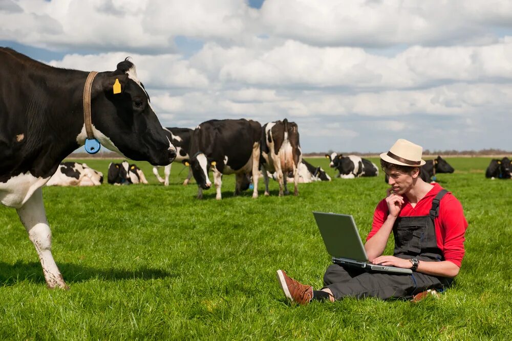 Working on the farm