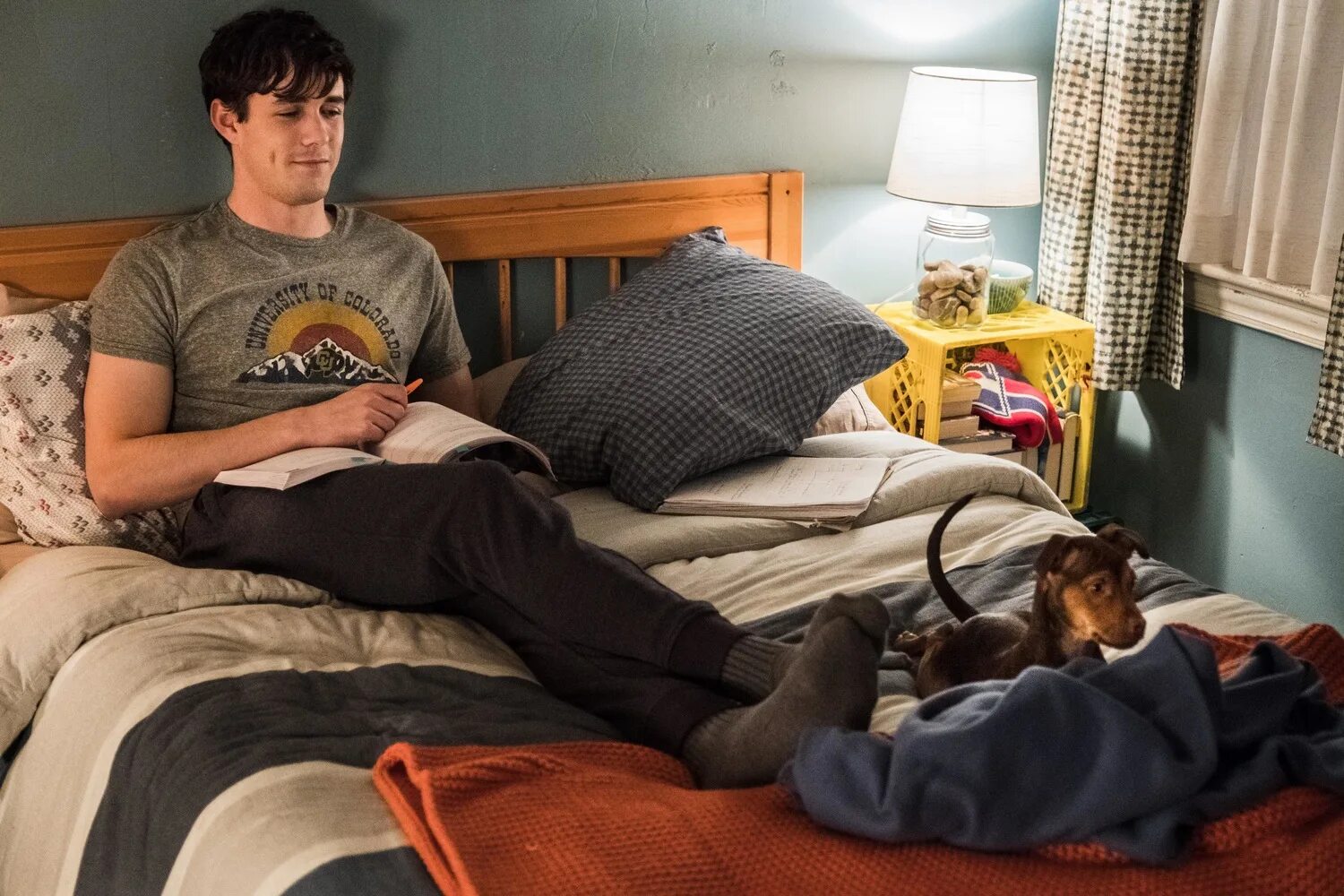 Безопасная дорога домой дом школа дом. Дорога домой. Путь домой фильм 2019 белла. Путь домой фильм про собаку. Путь домой фильм про собаку.