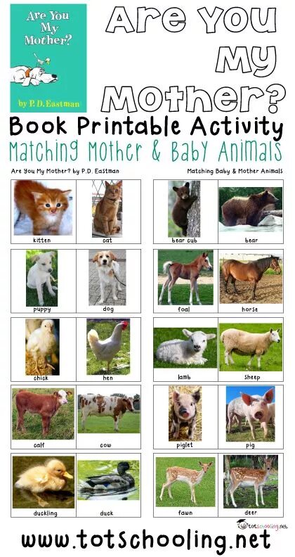 Domestic animals and their babies. Animals my mother. Baby animals задания. Млекопитающие жираф. Animals my mother.