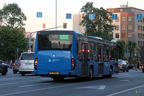 905 автобус москва