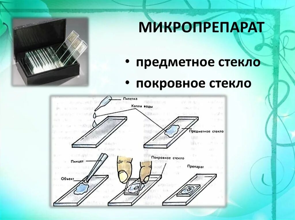 Метод висячей капли микробиология