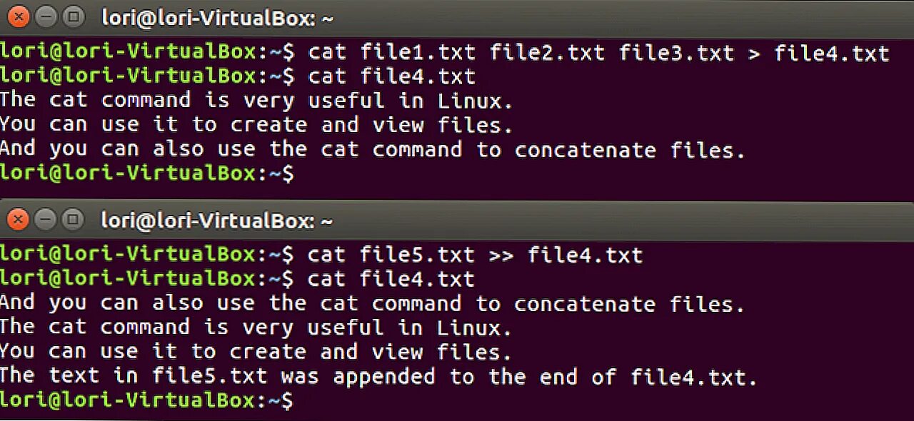 Оператор cat linux. Команда cat linux. Ubuntu кошка. Cat unix. Cat на линукс как создать.