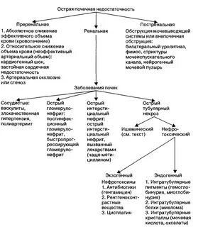 Формы хпн