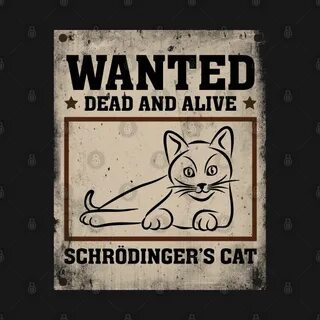 Wanted cat