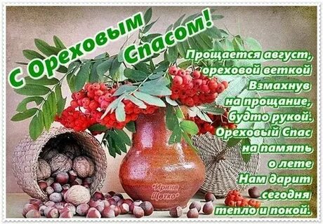 Прямо сейчас спас