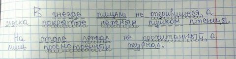 Синтаксический разбор предложения птенцов своих