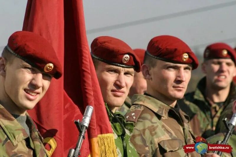 Краповый берет вдв. Краповый берет мвд. Краповый спецназ витязь. Рассказ по ордена. Награда берет.