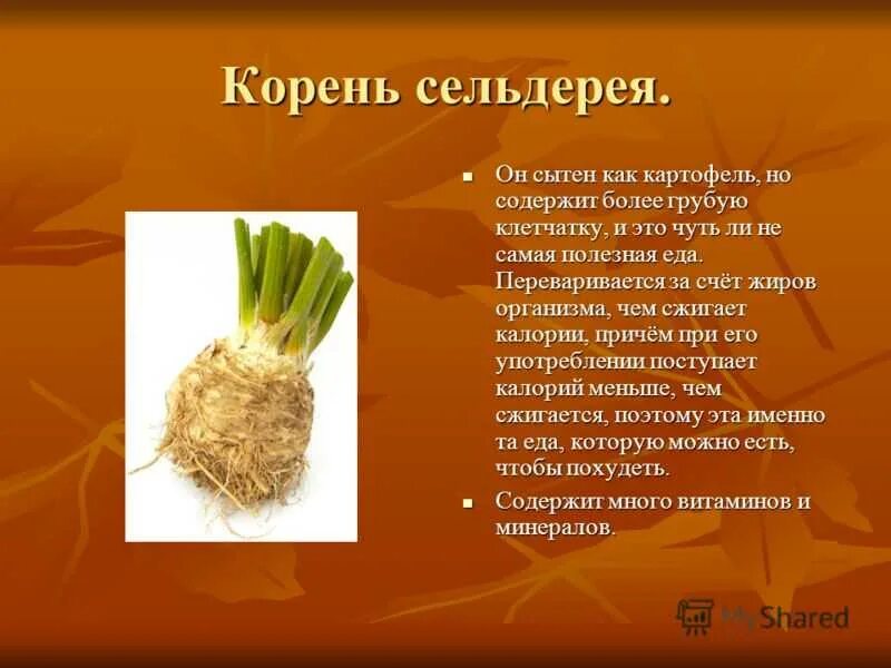 Противопоказания корня