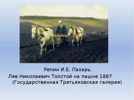 Толстой в поле