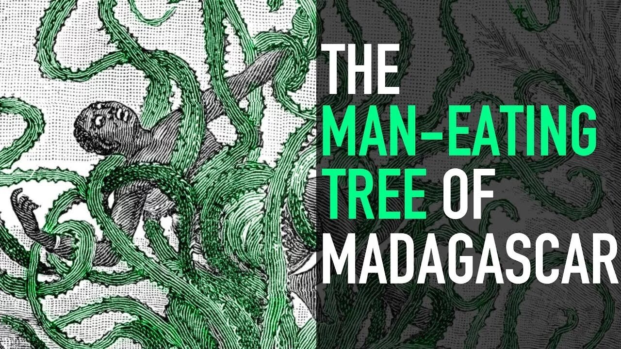 Man eating a Tree. Man eating Plant. Tree man eats. Eat from trees