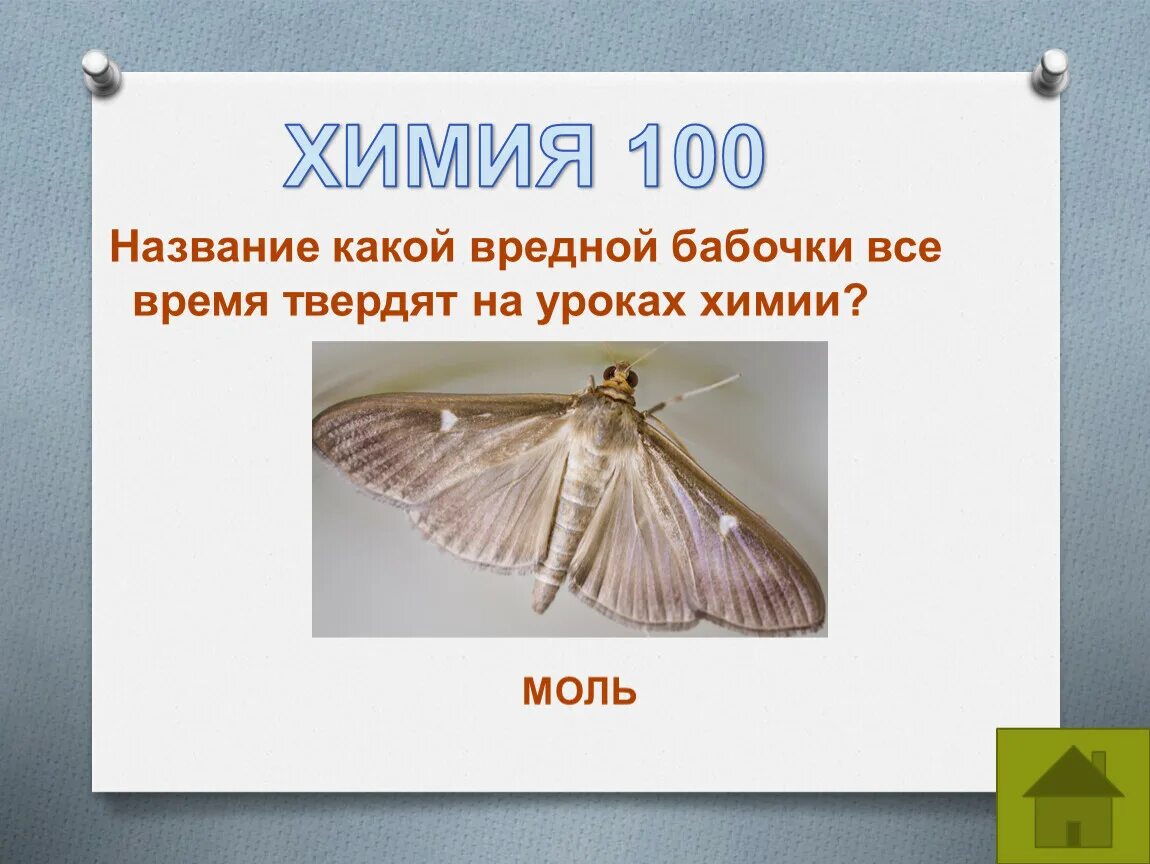 Какой вред бабочек. Опасные бабочки с названиями. Польза и вред от бабочек. Вред бабочек. Чем опасны бабочки для человека.