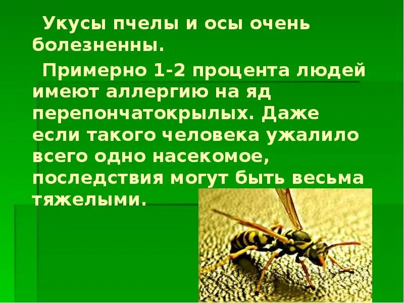 Укусы насекомых и защита от них обж. Жалящие насекомые 2 класс окружающий мир. Презентация на тему укусы насекомых. Защита от жалящих насекомых. Жалящие насекомые доклад.