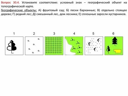 Фруктовый сад условный