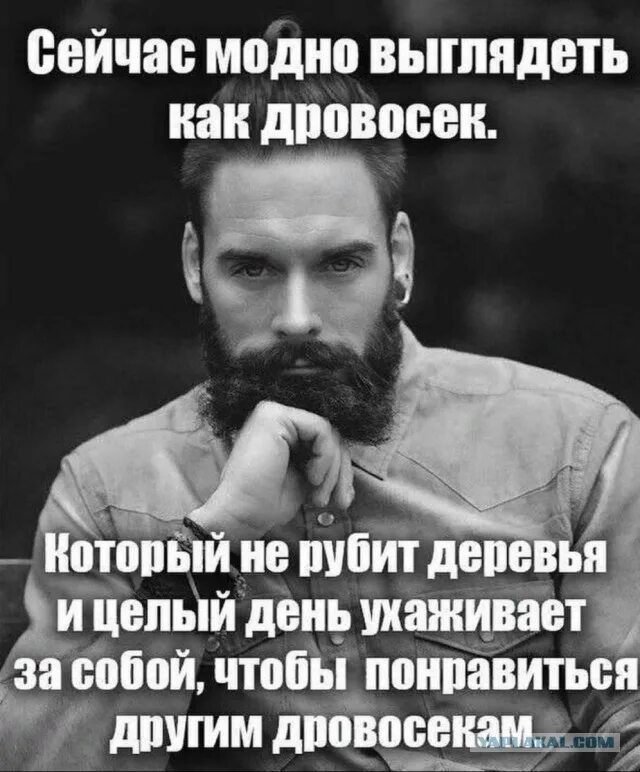 Сейчас модно выглядеть как дровосек. Чтобы нравиться другим дровосекам. Дровосеки нравятся другим дровосекам. Чтобы понравиться другим дровосекам. Почему мужчины текут