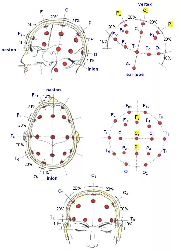 Ээг 10 10. Схема 10-20 наложение электродов. Точки наложения электродов при ЭЭГ. Электроэнцефалография схема 10 20. Микрополяризация схемы наложения электродов.