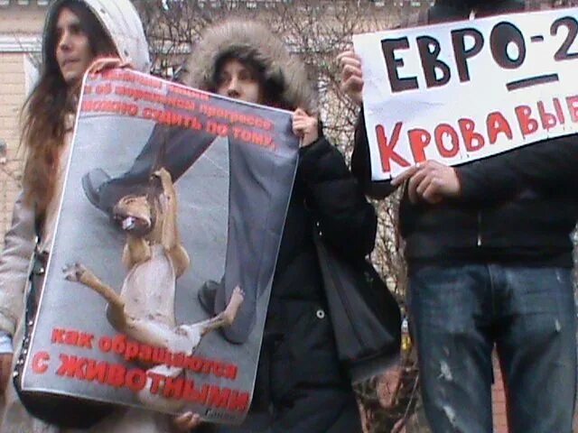 Против убийств животных. Против насилия над животными. плакат против насилия над животными.