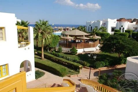 Grand halomy resort отзывы