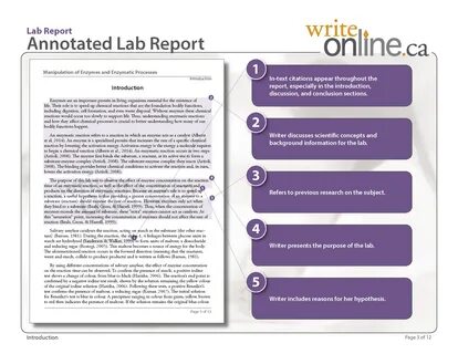 Write Online Lab Report Writing Guide Parts Of A Lab Report.