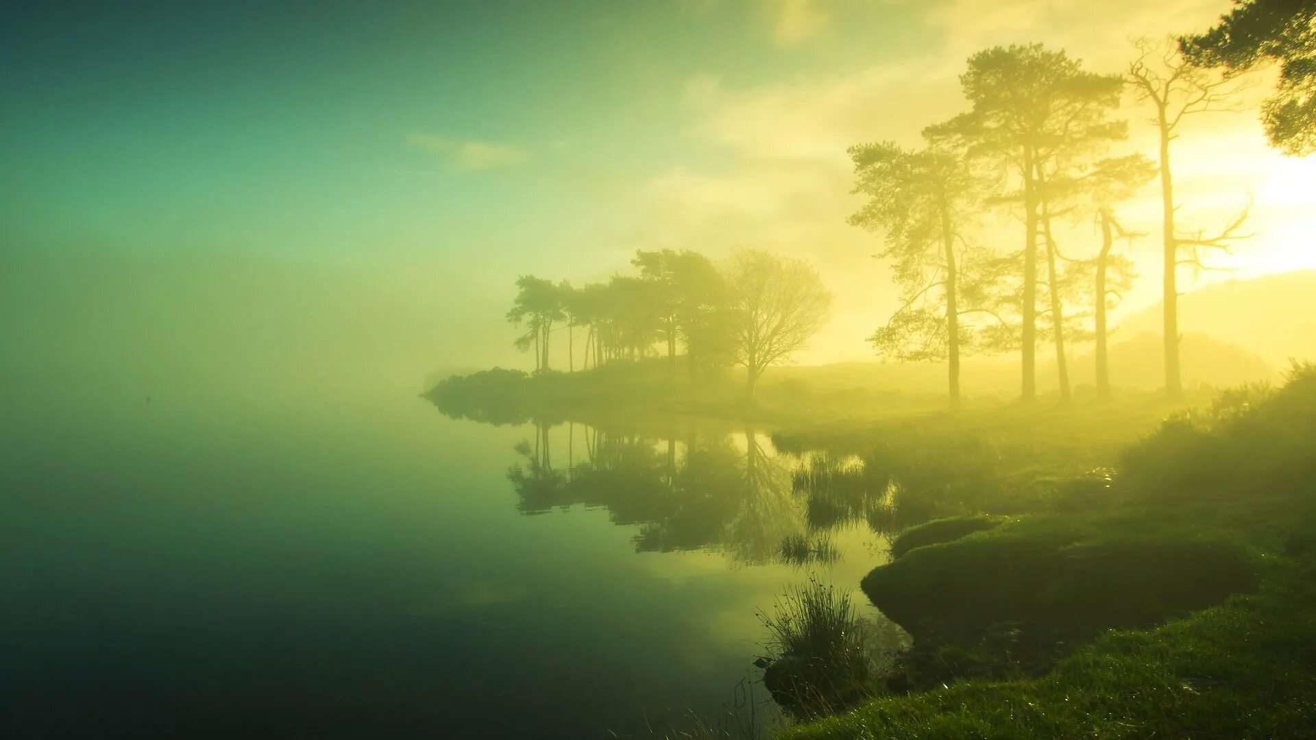 Летний туман на озере. Озеро деревья трава солнце. Туманный пейзаж. Пейзаж спокойствие. Берега пробуждения