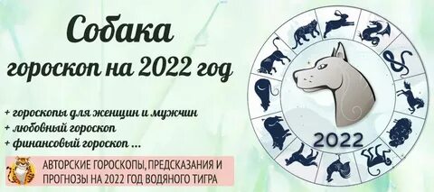 Водолей собака гороскоп 2024