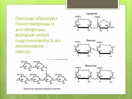 Сахароза подвергается гидролизу