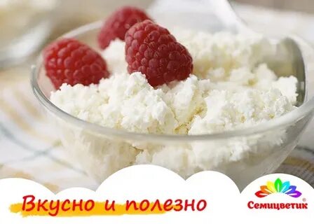 Творог это какой продукт