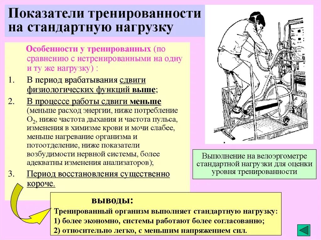 Основные составляющие тренированности. Показатели тренированности при стандартных нагрузках. Физиологические показатели тренированности. Показатели тренированности в покое. Показатели тренированности при выполнении стандартных.