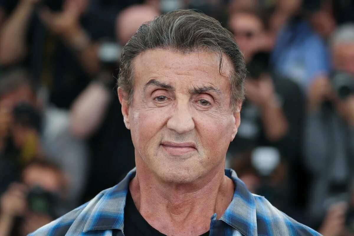 Как выглядит сталлоне сейчас. Сильвестр сталлоне фото сейчас. Сильвестр сталлоне 2022. Сильвестр сталлоне сейчас 2020. Сталлоне сейчас.