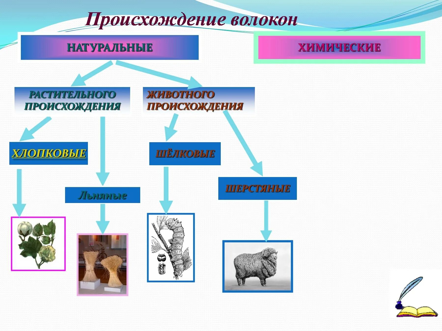 Растительные волокна свойства. Схема натуральных волокон животного происхождения. Натуральные волокна растительного происхождения технология. Текстильные волокна животного происхождения. Текстильные волокна растительного и животного происхождения.