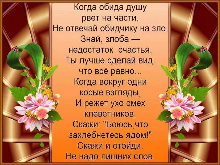 С днем рождения ваша мудрость