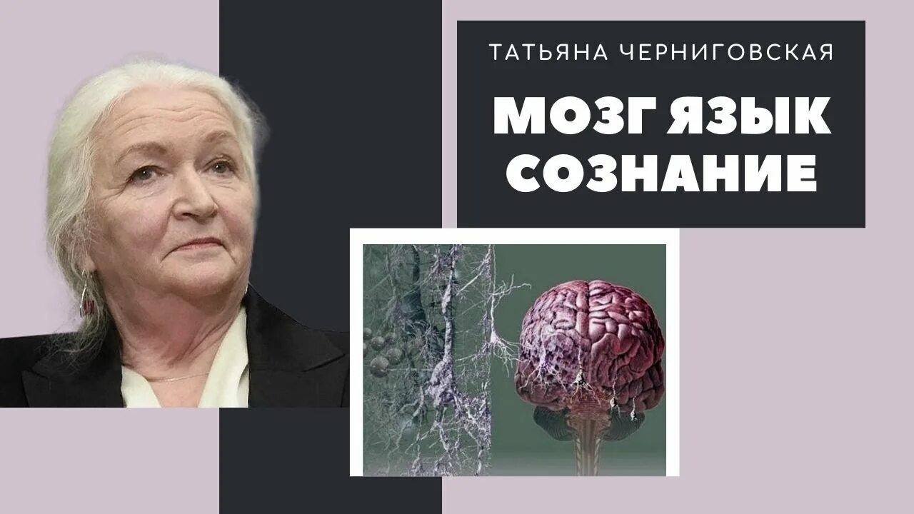 Чеширская улыбка кота шредингера книга. Черниговская язык и сознание. Черниговская язык и сознание. Черниговская язык и сознание. Черниговская язык и сознание.