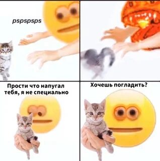 Кот мем 2024