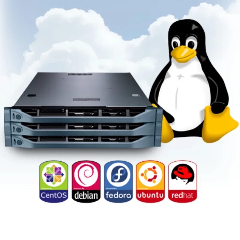 Администрирование серверов Linux. Линукс сервер. Сетевое администрирование Linux. Серверная Linux. Linux server windows