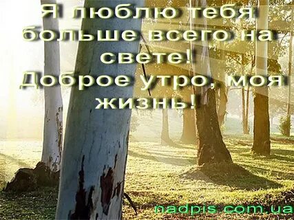 Доброе родной