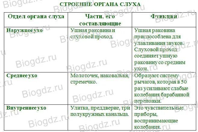 Строение и функции наружного среднего и внутреннего уха таблица. Строение и функции органа слуха таблица. Строение уха таблица часть уха строение функции. Слуховой анализатор название строение функции таблица. Установите соответствие между отделами органа слуха