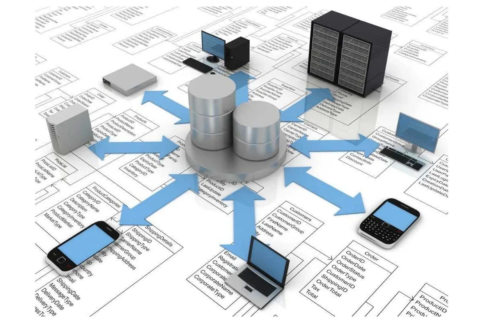 Наполнение информационной системы