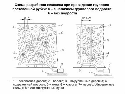 Технологическая схема разработки