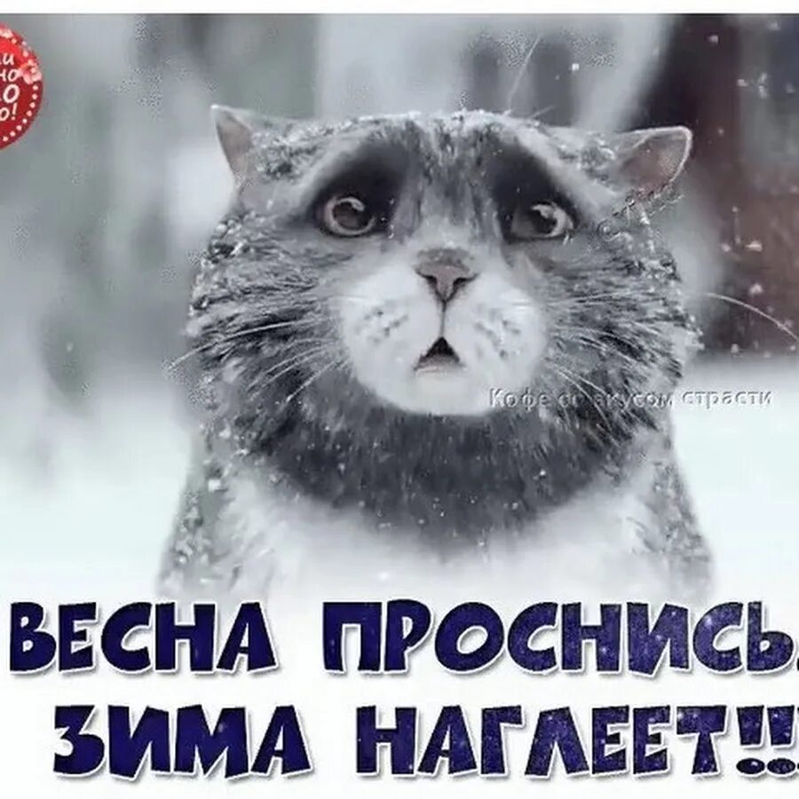 Всю зиму проспишь