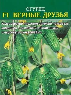 Огурцы сорт верные друзья