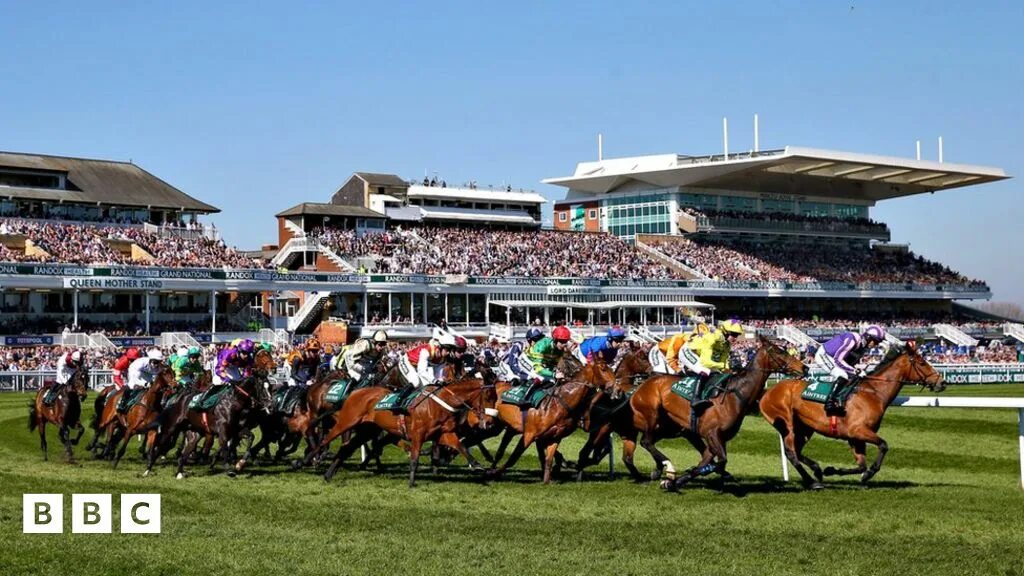 The grand national is a horse. Grand national horse race. Grand national. Grand national horse race. Grantlar.