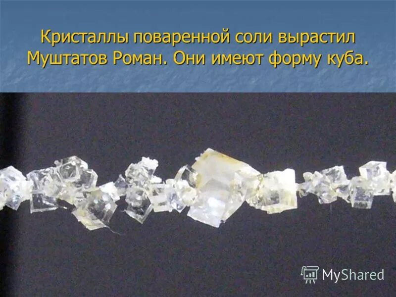 Кристаллы поваренной соли. Кристаллы правильные многогранники. Кристалл на нитке. Кристаллы поваренной соли имеют форму. Кристаллы поваренной соли имеют форму.