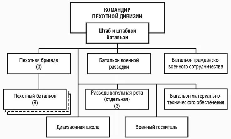 организационные характеристики курсовая