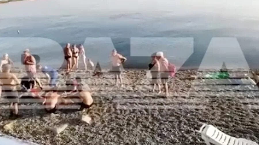 Напали на пляже. Нападение акулы в австралии. Нападение акулы в хургаде. Напали на пляже. Реальное нападение акул.