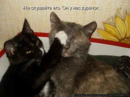 Подожди открыть