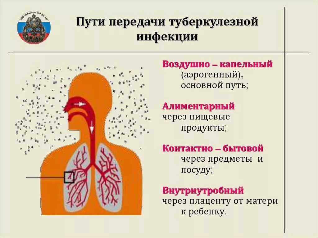 Возбудитель инфекции туберкулеза