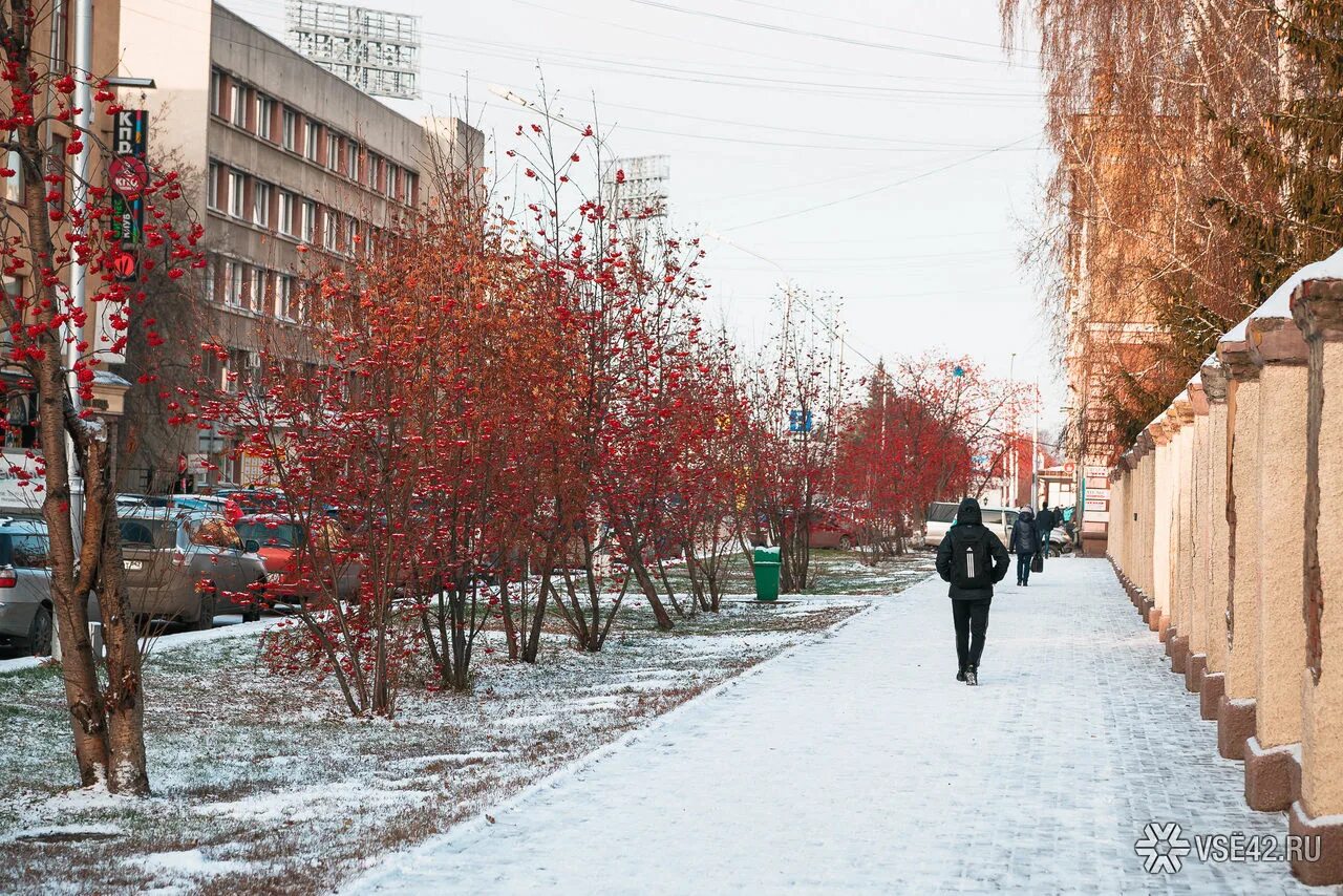 Кемерово ноябрь. Аллея Весенняя Кемерово. Первый снег Кемерово. Первый снег в городе.